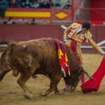 Valdemorillo, sábado 8 de febrero de 2020