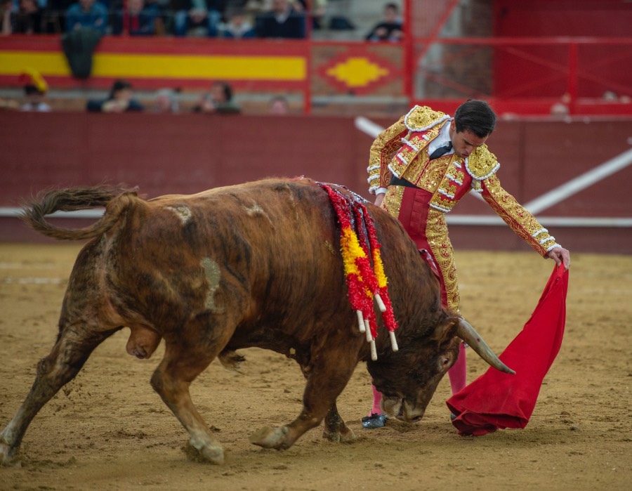 Valdemorillo, sábado 8 de febrero de 2020