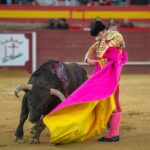 Valdemorillo, sábado 8 de febrero de 2020