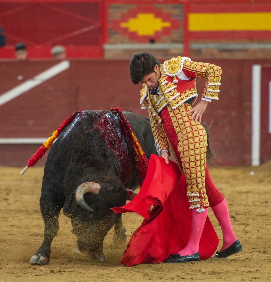 Valdemorillo, sábado 8 de febrero de 2020