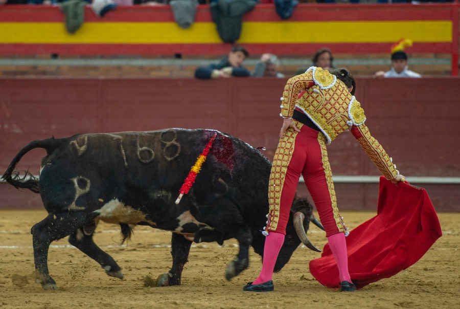 Valdemorillo, sábado 8 de febrero de 2020