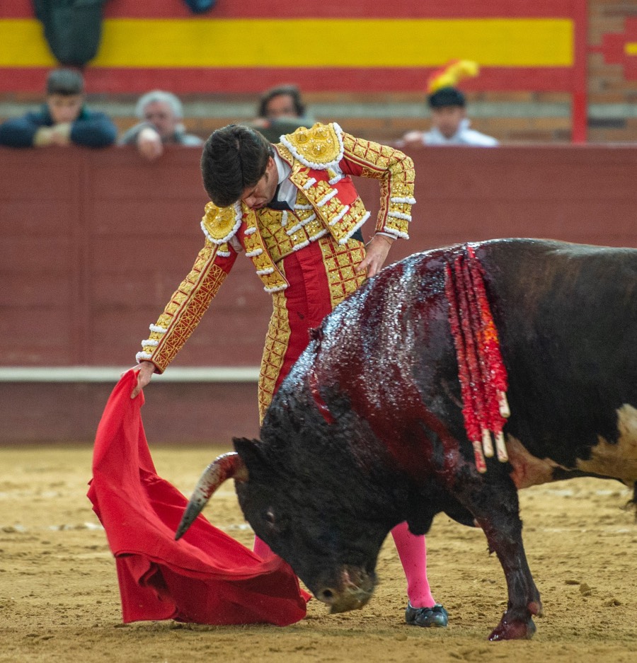 Valdemorillo, sábado 8 de febrero de 2020