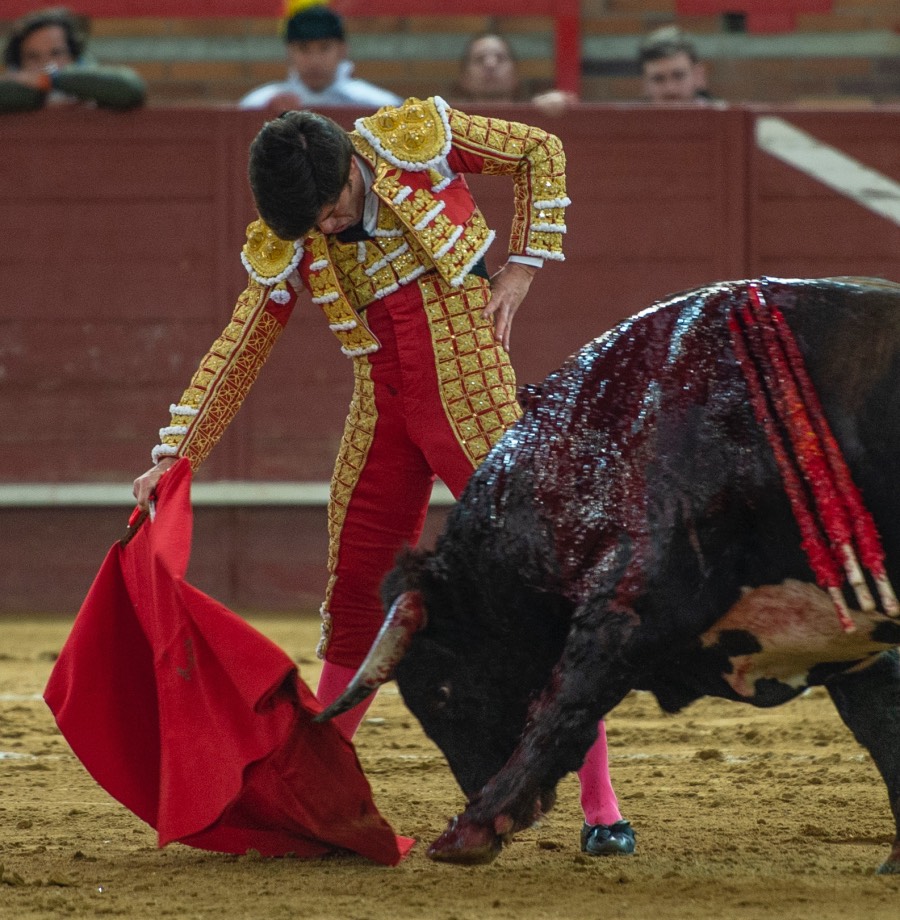 Valdemorillo, sábado 8 de febrero de 2020