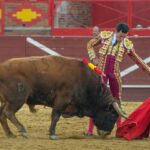 Valdemorillo, sábado 8 de febrero de 2020