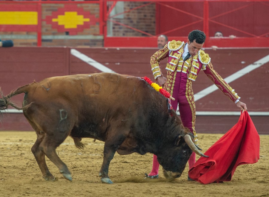 Valdemorillo, sábado 8 de febrero de 2020