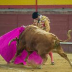 Valdemorillo, sábado 8 de febrero de 2020