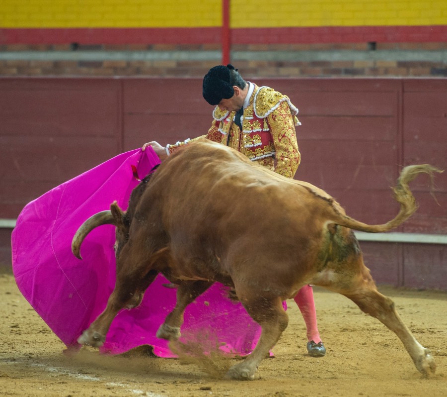 Valdemorillo, sábado 8 de febrero de 2020