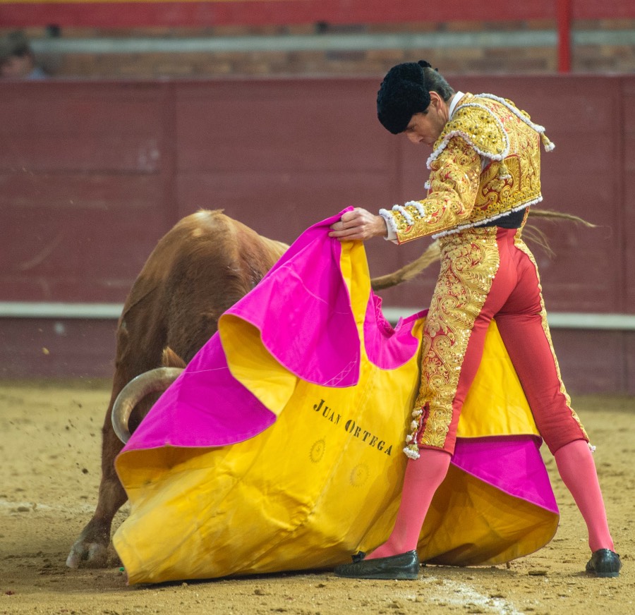 Valdemorillo, sábado 8 de febrero de 2020