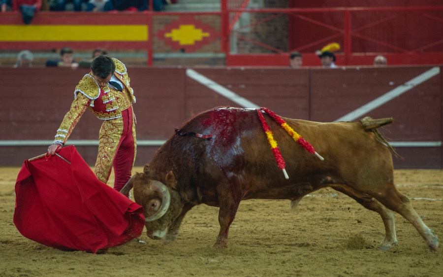 Valdemorillo, sábado 8 de febrero de 2020