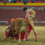 Valdemorillo, sábado 8 de febrero de 2020