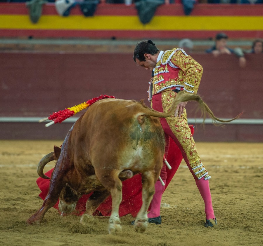 Valdemorillo, sábado 8 de febrero de 2020