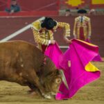 Valdemorillo, sábado 8 de febrero de 2020