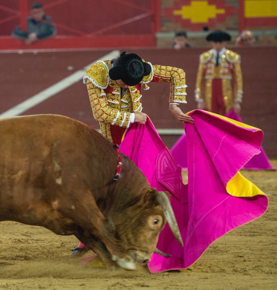 Valdemorillo, sábado 8 de febrero de 2020