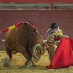 Valdemorillo, sábado 8 de febrero de 2020