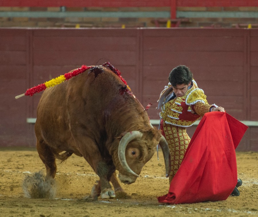 Valdemorillo, sábado 8 de febrero de 2020