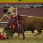 Valdemorillo, sábado 8 de febrero de 2020