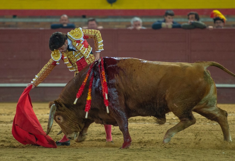 Valdemorillo, sábado 8 de febrero de 2020