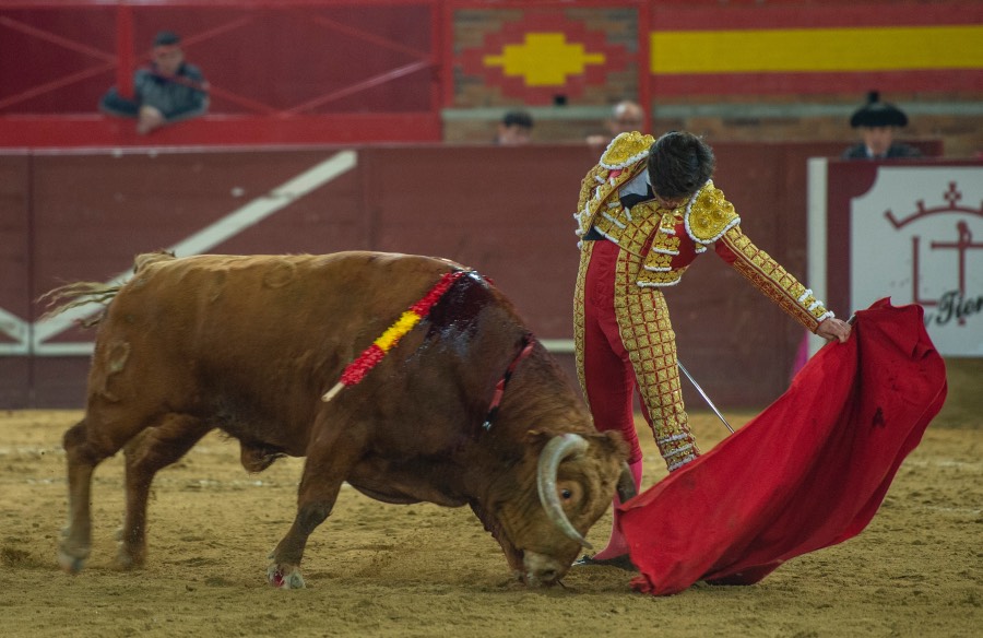 Valdemorillo, sábado 8 de febrero de 2020