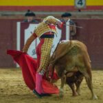 Valdemorillo, sábado 8 de febrero de 2020