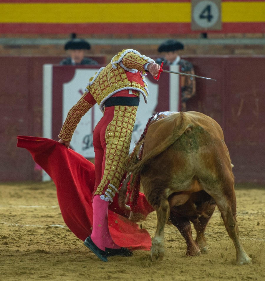 Valdemorillo, sábado 8 de febrero de 2020