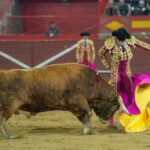 Valdemorillo, sábado 8 de febrero de 2020