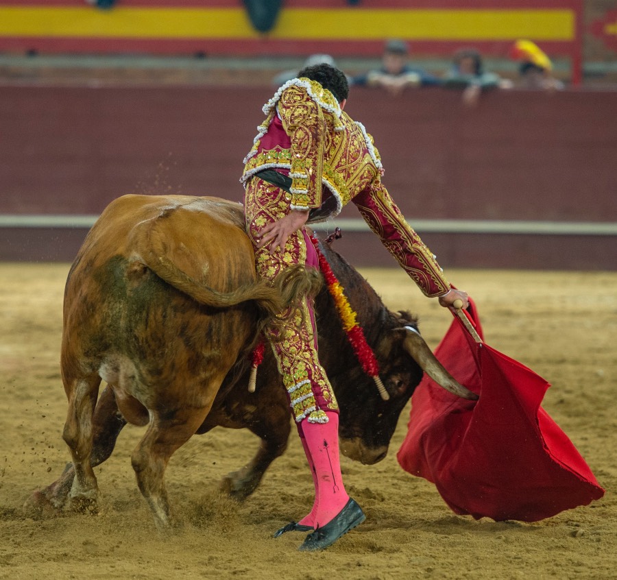 Valdemorillo, sábado 8 de febrero de 2020