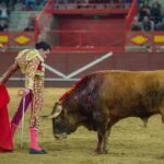 Valdemorillo, sábado 8 de febrero de 2020