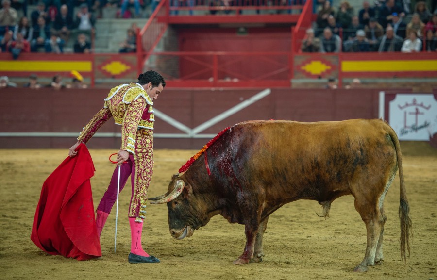 Valdemorillo, sábado 8 de febrero de 2020