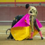 Valdemorillo, domingo 9 de febrero de 2020. Toros de Montalvo para Daniel Luque, López Simón y Álvaro Lorenzo