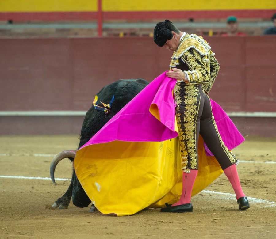 Valdemorillo, domingo 9 de febrero de 2020. Toros de Montalvo para Daniel Luque, López Simón y Álvaro Lorenzo