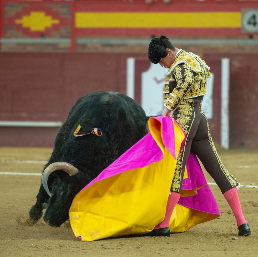 Valdemorillo, domingo 9 de febrero de 2020. Toros de Montalvo para Daniel Luque, López Simón y Álvaro Lorenzo