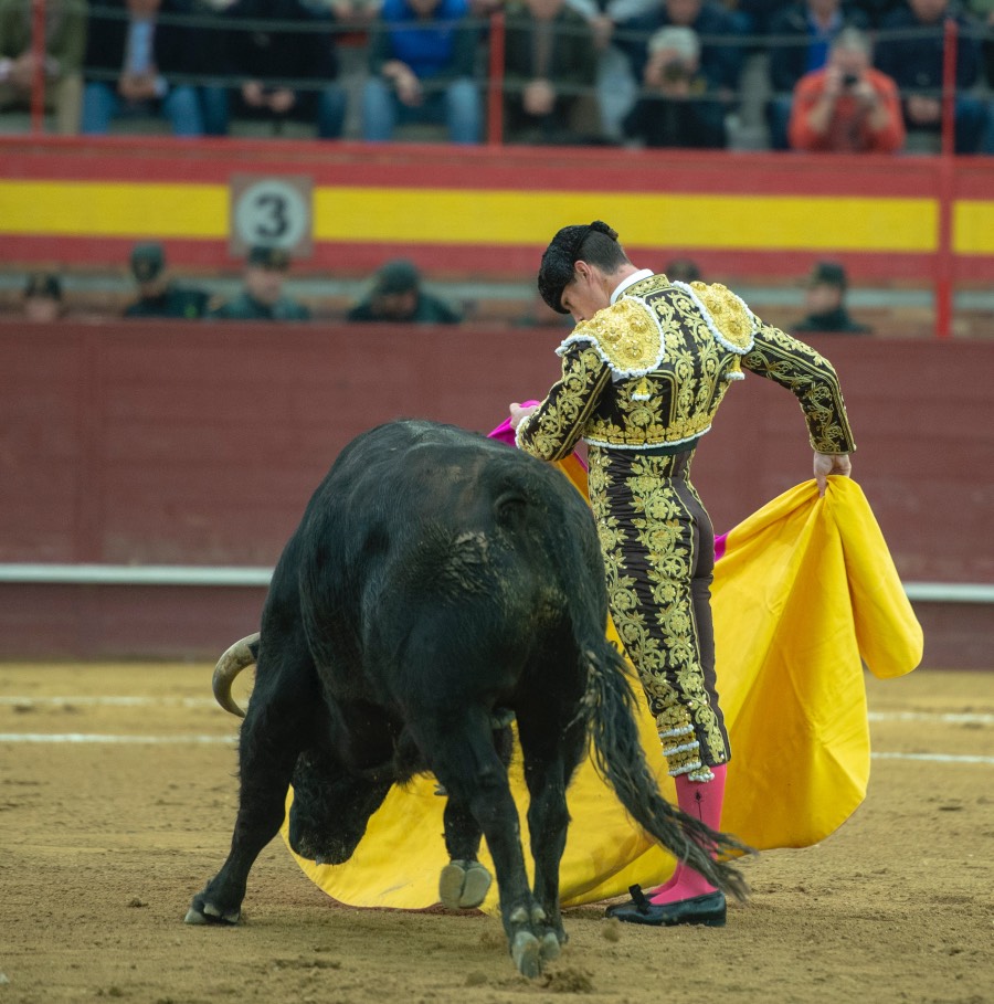 Valdemorillo, domingo 9 de febrero de 2020. Toros de Montalvo para Daniel Luque, López Simón y Álvaro Lorenzo