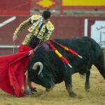 Valdemorillo, domingo 9 de febrero de 2020. Toros de Montalvo para Daniel Luque, López Simón y Álvaro Lorenzo
