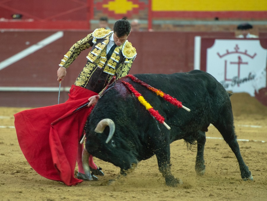 Valdemorillo, domingo 9 de febrero de 2020. Toros de Montalvo para Daniel Luque, López Simón y Álvaro Lorenzo