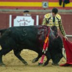 Valdemorillo, domingo 9 de febrero de 2020. Toros de Montalvo para Daniel Luque, López Simón y Álvaro Lorenzo