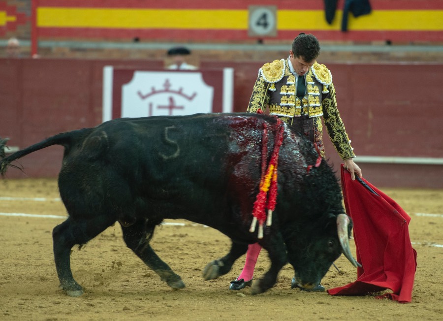 Valdemorillo, domingo 9 de febrero de 2020. Toros de Montalvo para Daniel Luque, López Simón y Álvaro Lorenzo