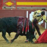 Valdemorillo, domingo 9 de febrero de 2020. Toros de Montalvo para Daniel Luque, López Simón y Álvaro Lorenzo