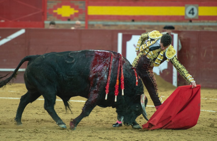 Valdemorillo, domingo 9 de febrero de 2020. Toros de Montalvo para Daniel Luque, López Simón y Álvaro Lorenzo