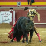 Valdemorillo, domingo 9 de febrero de 2020. Toros de Montalvo para Daniel Luque, López Simón y Álvaro Lorenzo