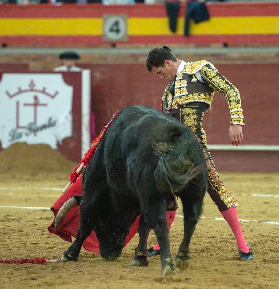 Valdemorillo, domingo 9 de febrero de 2020. Toros de Montalvo para Daniel Luque, López Simón y Álvaro Lorenzo
