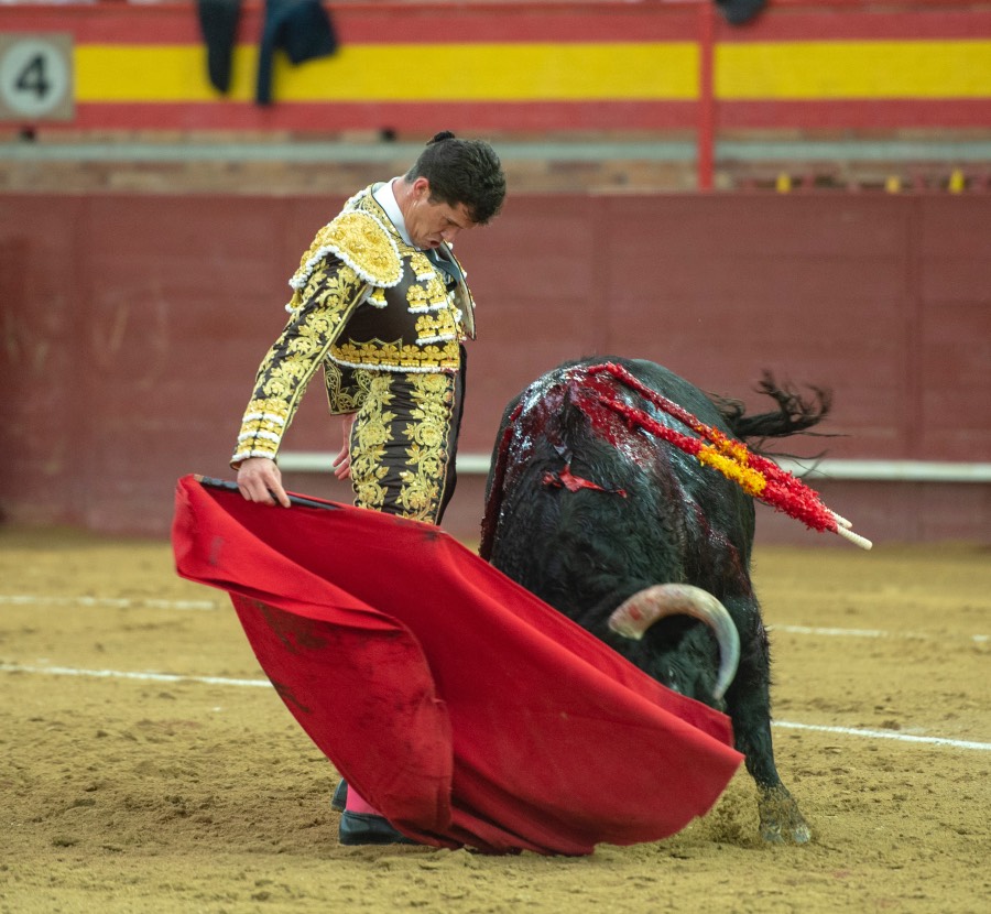Valdemorillo, domingo 9 de febrero de 2020. Toros de Montalvo para Daniel Luque, López Simón y Álvaro Lorenzo