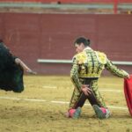 Valdemorillo, domingo 9 de febrero de 2020. Toros de Montalvo para Daniel Luque, López Simón y Álvaro Lorenzo