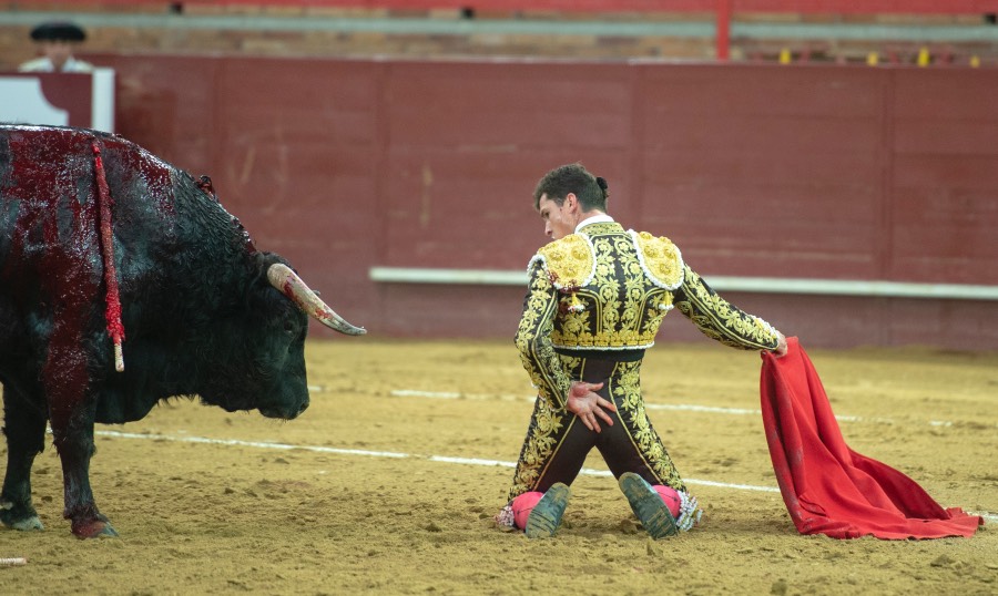 Valdemorillo, domingo 9 de febrero de 2020. Toros de Montalvo para Daniel Luque, López Simón y Álvaro Lorenzo