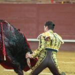 Valdemorillo, domingo 9 de febrero de 2020. Toros de Montalvo para Daniel Luque, López Simón y Álvaro Lorenzo