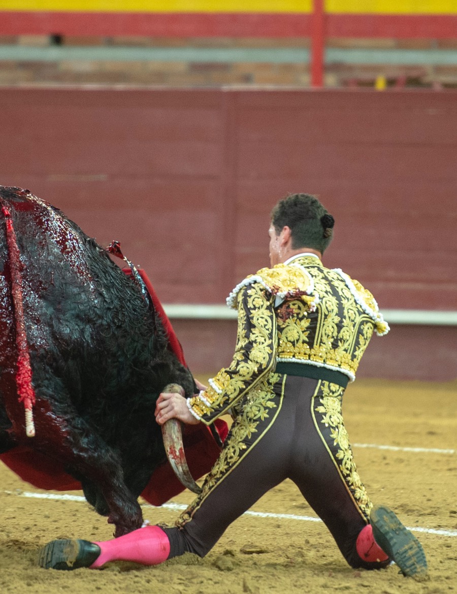 Valdemorillo, domingo 9 de febrero de 2020. Toros de Montalvo para Daniel Luque, López Simón y Álvaro Lorenzo