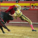 Valdemorillo, domingo 9 de febrero de 2020. Toros de Montalvo para Daniel Luque, López Simón y Álvaro Lorenzo