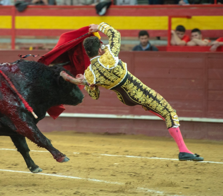 Valdemorillo, domingo 9 de febrero de 2020. Toros de Montalvo para Daniel Luque, López Simón y Álvaro Lorenzo