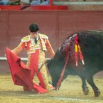 Valdemorillo, domingo 9 de febrero de 2020. Toros de Montalvo para Daniel Luque, López Simón y Álvaro Lorenzo
