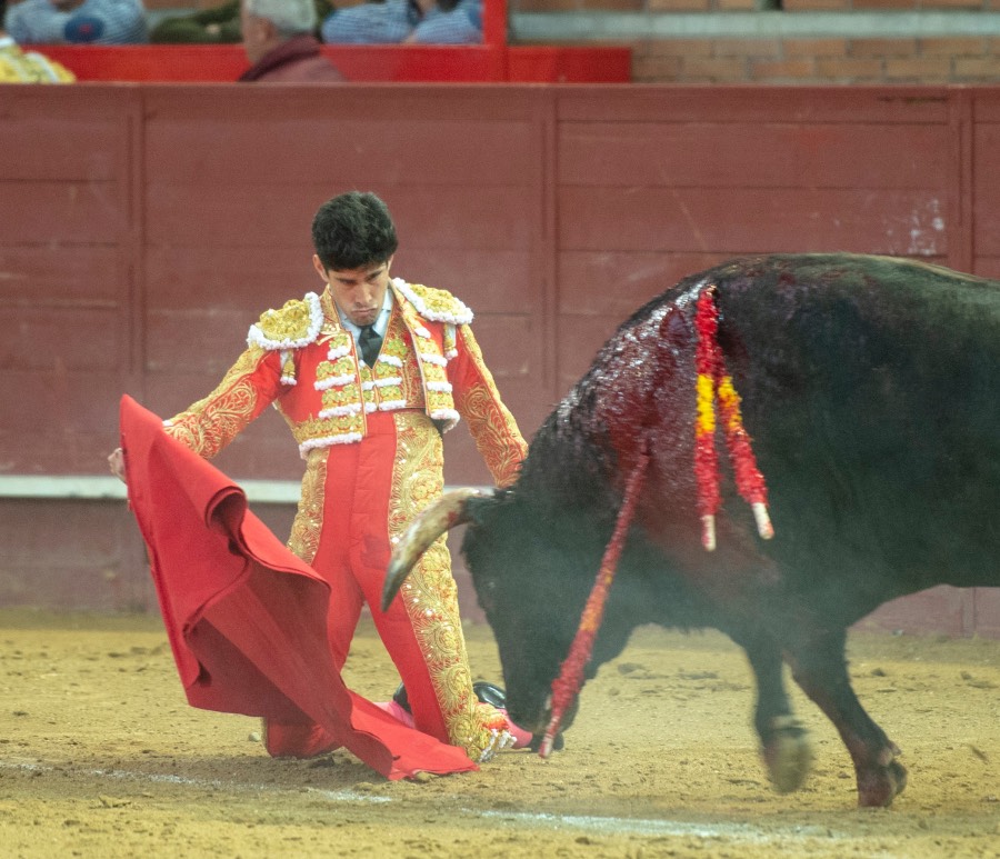 Valdemorillo, domingo 9 de febrero de 2020. Toros de Montalvo para Daniel Luque, López Simón y Álvaro Lorenzo