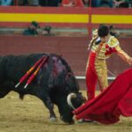 Valdemorillo, domingo 9 de febrero de 2020. Toros de Montalvo para Daniel Luque, López Simón y Álvaro Lorenzo